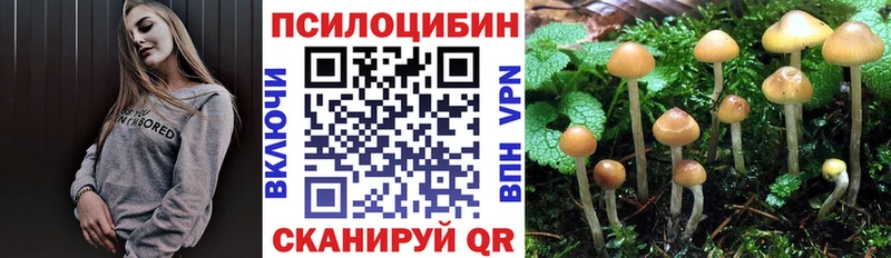 Псилоцибиновые грибы ЛСД  Ноябрьск 